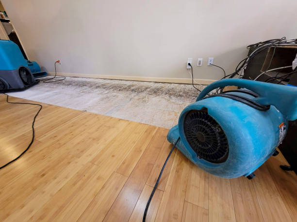 Professional Water Removal technician working in New Lebanon, OH